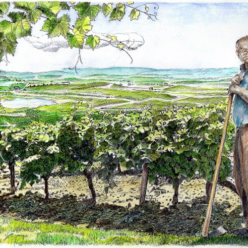 nonno-mase-azienda-agricola-de-maria