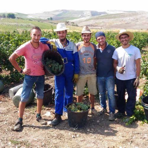 persone-azienda-agricola-de-maria-marsala-01